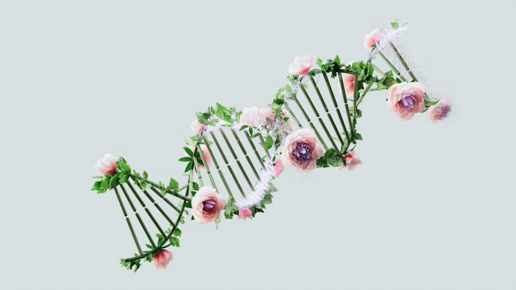 试管婴儿成功的关键因素与应对策略