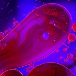 试管婴儿技术的最新进展与实践指南