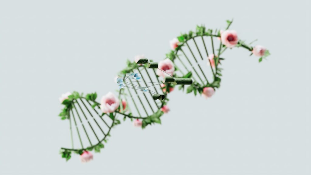 试管婴儿技术的伦理思考：科学与道德的交汇