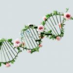 试管婴儿技术的伦理思考:科学与道德的交汇
