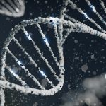 试管婴儿技术中的基因编辑与伦理讨论