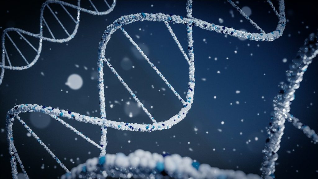 试管婴儿技术背后的科学与伦理：我们应该如何看待？