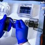 试管婴儿技术中的个性化医疗：突破与实践