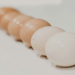 试管婴儿技术中的卵子捐赠与受到的法律影响分析
