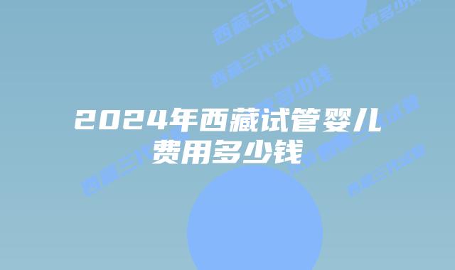 2024年西藏试管婴儿费用多少钱