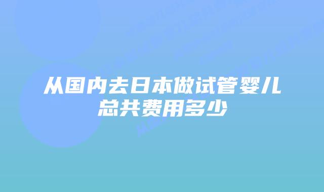 从国内去日本做试管婴儿总共费用多少