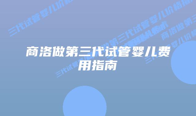 商洛做第三代试管婴儿费用指南