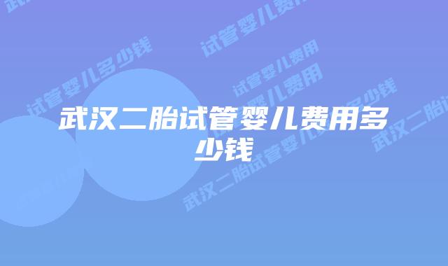 武汉二胎试管婴儿费用多少钱