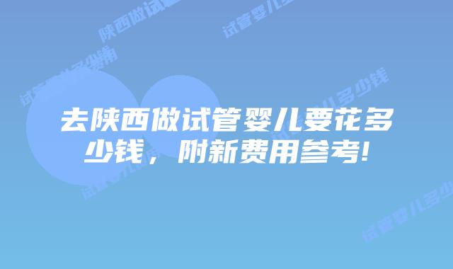 去陕西做试管婴儿要花多少钱,附新费用参考!