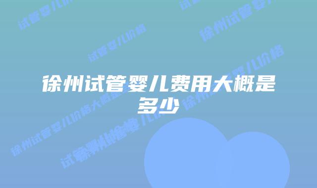 徐州试管婴儿费用大概是多少