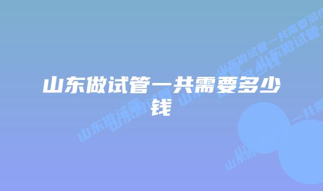 山东做试管一共需要多少钱