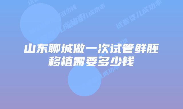 山东聊城做一次试管鲜胚移植需要多少钱