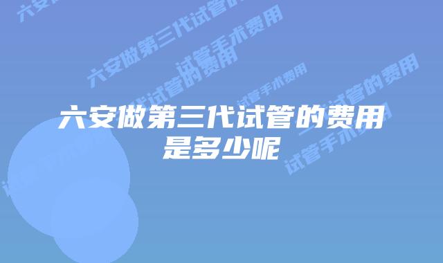 六安做第三代试管的费用是多少呢