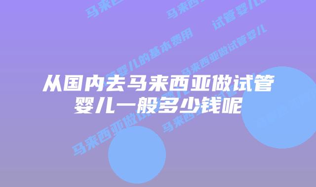 从国内去马来西亚做试管婴儿一般多少钱呢
