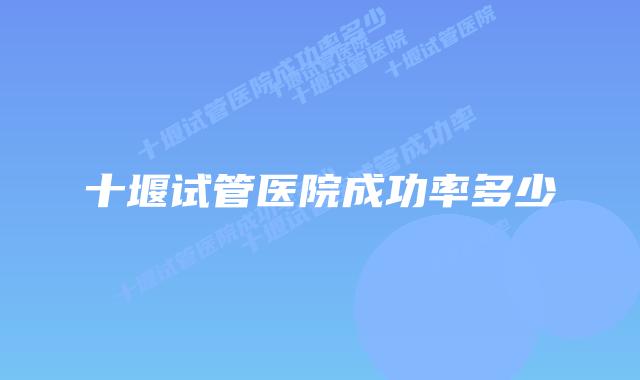 十堰试管医院成功率多少