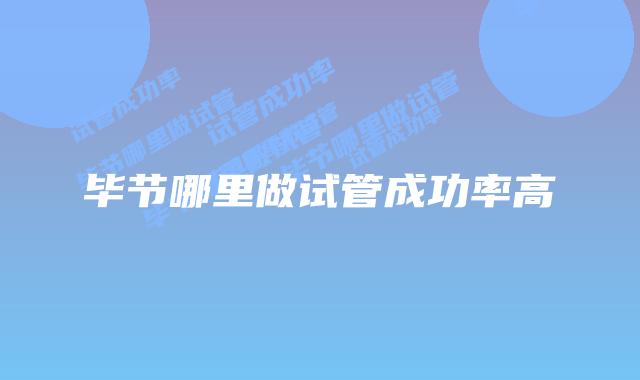 毕节哪里做试管成功率高