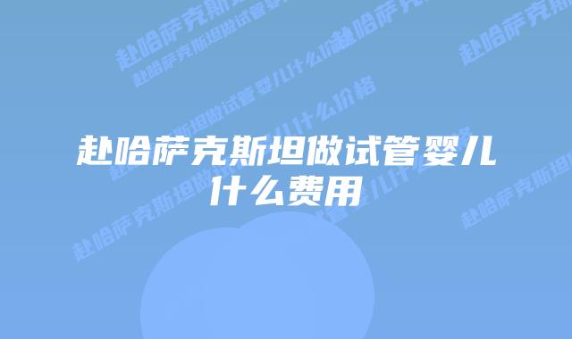 赴哈萨克斯坦做试管婴儿什么费用