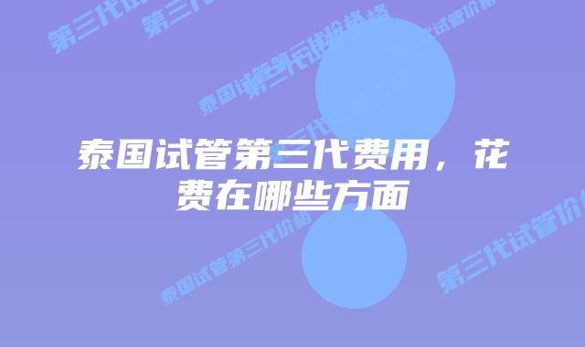 泰国试管第三代费用，花费在哪些方面