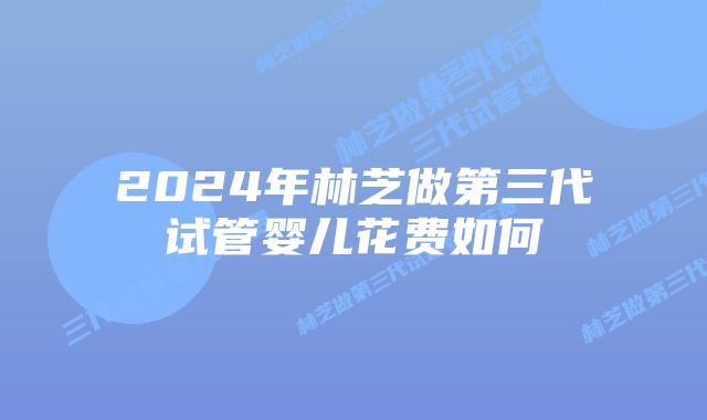 2024年林芝做第三代试管婴儿花费如何