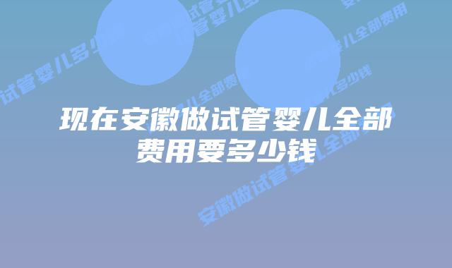 现在安徽做试管婴儿全部费用要多少钱
