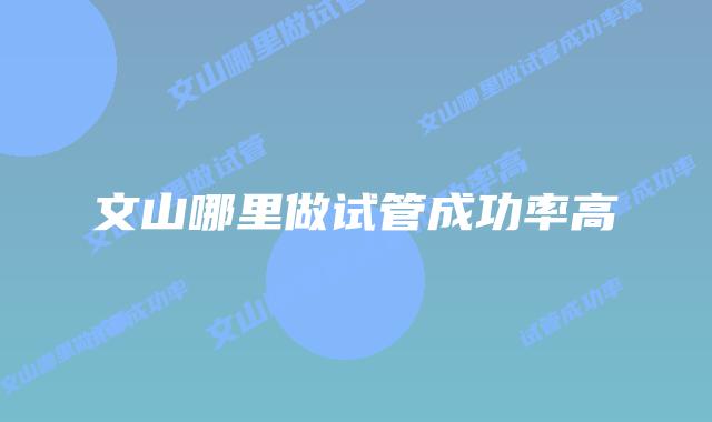 文山哪里做试管成功率高