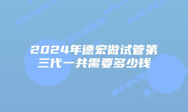 2024年德宏做试管第三代一共需要多少钱