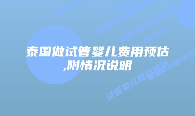泰国做试管婴儿费用预估,附情况说明