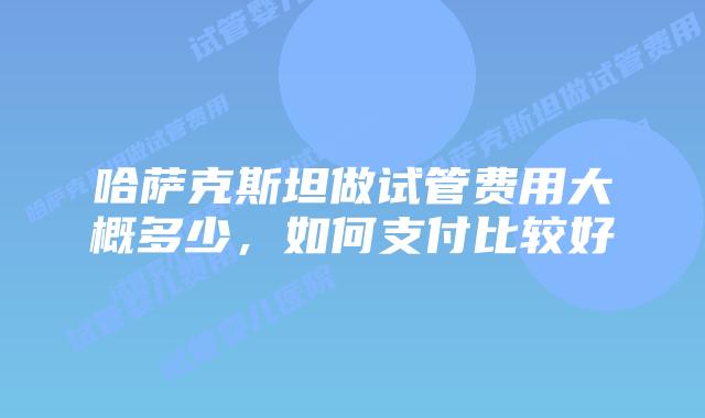 哈萨克斯坦做试管费用大概多少，如何支付比较好