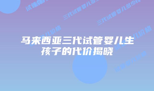 马来西亚三代试管婴儿生孩子的代价揭晓