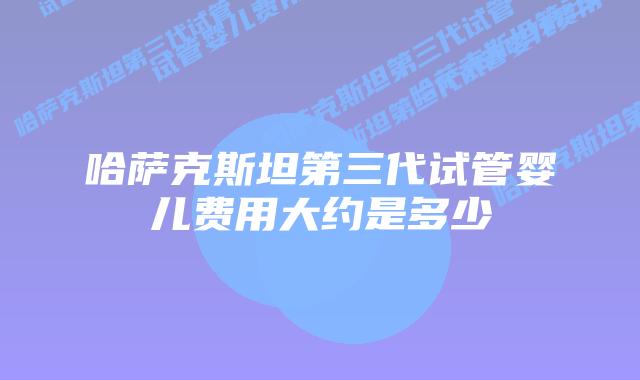 哈萨克斯坦第三代试管婴儿费用大约是多少