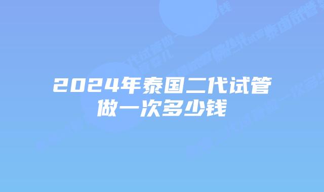 2024年泰国二代试管做一次多少钱