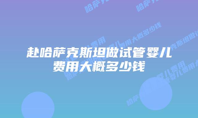 赴哈萨克斯坦做试管婴儿费用大概多少钱