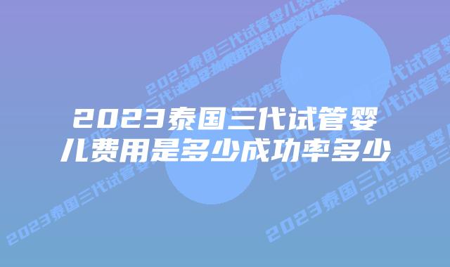 2023泰国三代试管婴儿费用是多少成功率多少