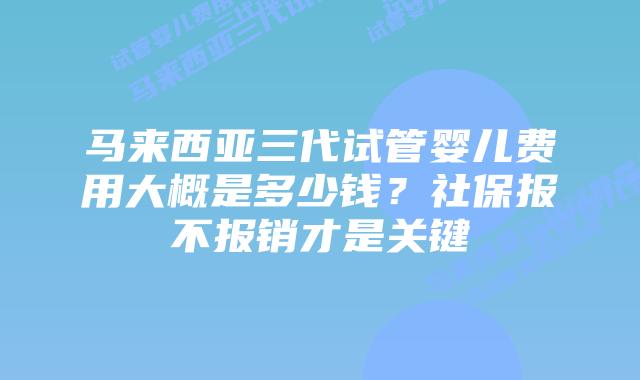 马来西亚三代试管婴儿费用大概是多少钱？社保报不报销才是关键