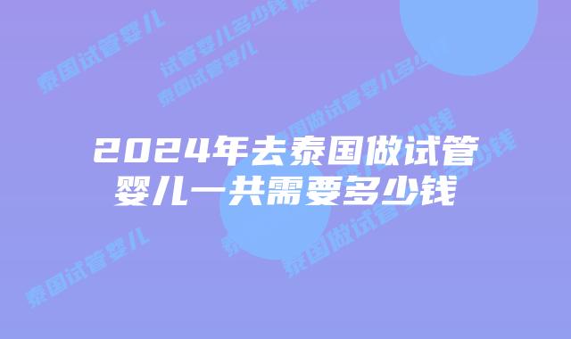 2024年去泰国做试管婴儿一共需要多少钱