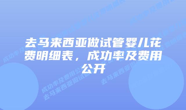 去马来西亚做试管婴儿花费明细表,成功率及费用公开