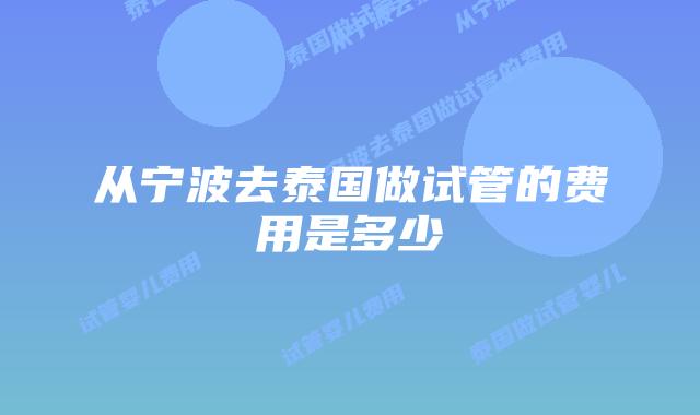 从宁波去泰国做试管的费用是多少