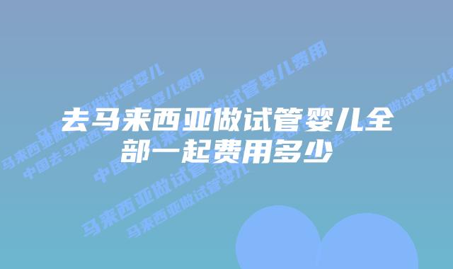 去马来西亚做试管婴儿全部一起费用多少