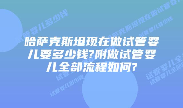 哈萨克斯坦现在做试管婴儿要多少钱?附做试管婴儿全部流程如何?
