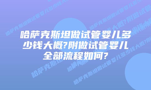 哈萨克斯坦做试管婴儿多少钱大概?附做试管婴儿全部流程如何?