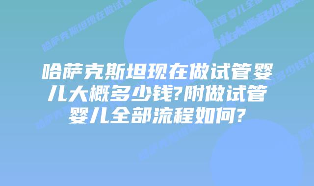 哈萨克斯坦现在做试管婴儿大概多少钱?附做试管婴儿全部流程如何?
