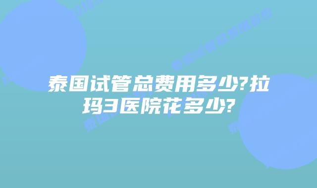 泰国试管总费用多少?拉玛3医院花多少?