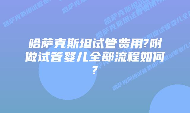 哈萨克斯坦试管费用?附做试管婴儿全部流程如何?