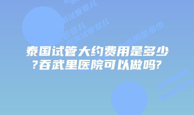 泰国试管大约费用是多少?吞武里医院可以做吗?