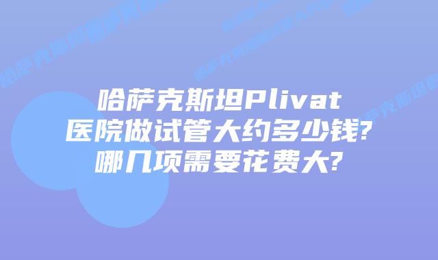 哈萨克斯坦Plivat医院做试管大约多少钱?哪几项需要花费大?