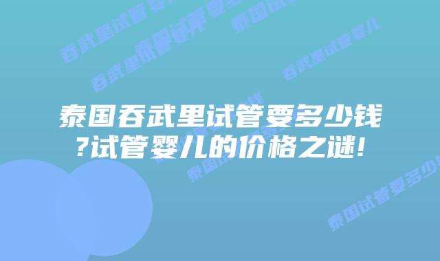 泰国吞武里试管要多少钱?试管婴儿的价格之谜!