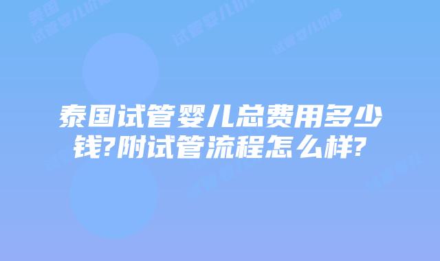 泰国试管婴儿总费用多少钱?附试管流程怎么样?