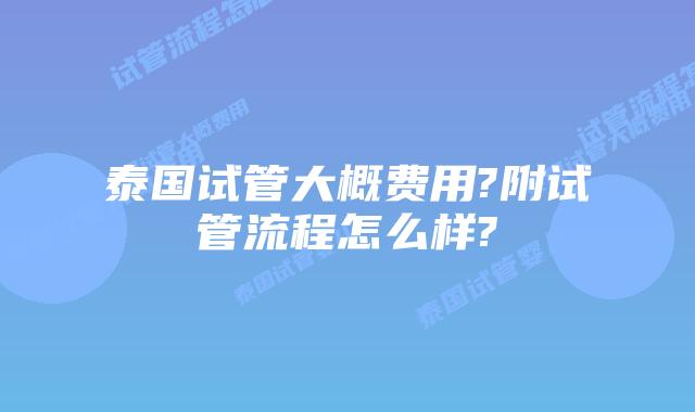 泰国试管大概费用?附试管流程怎么样?
