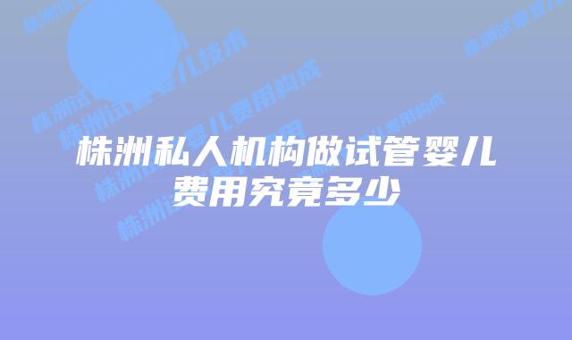 株洲私人机构做试管婴儿费用究竟多少