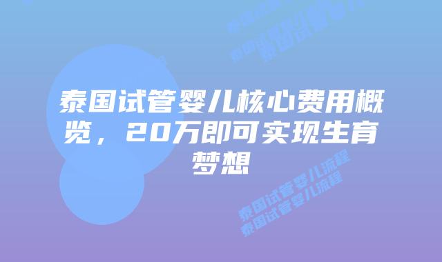 泰国试管婴儿核心费用概览，20万即可实现生育梦想